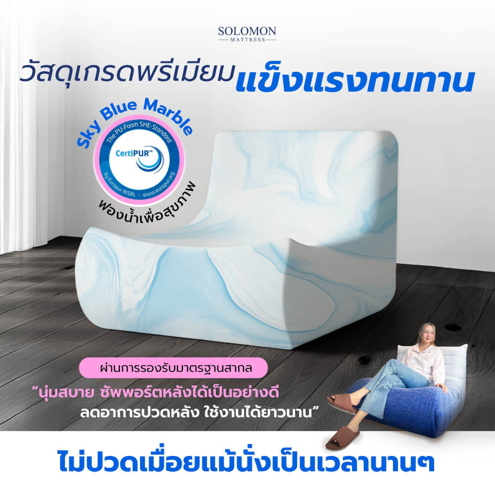 โซฟา SOLOMON รุ่น MORI ทูโทน สีขาว-น้ำเงิน_2